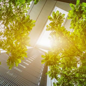 Skyscrapers and trees symbolizing smart office technology and energy-efficient solutions